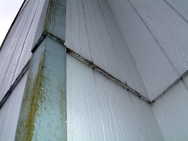 LP siding photo